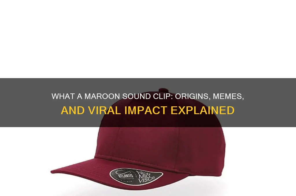 what a moroon sound clip