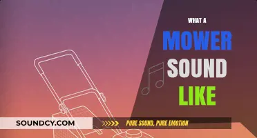 Decoding the Buzz: What Does a Lawn Mower Sound Like?