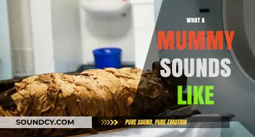 Unraveling the Ancient Whispers: What a Mummy's Voice Might Sound Like
