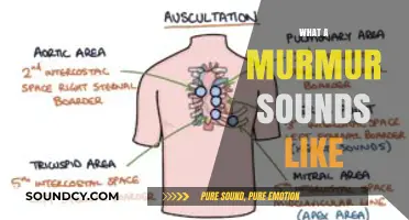 Understanding Heart Murmurs: What They Sound Like and Why It Matters