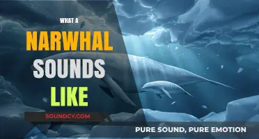 Unveiling the Mystical Sounds of Narwhals: A Deep Dive into Their Vocalizations