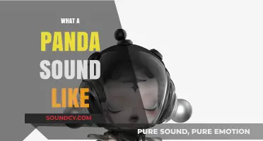 Unveiling the Unique Vocalizations: What Does a Panda Sound Like?