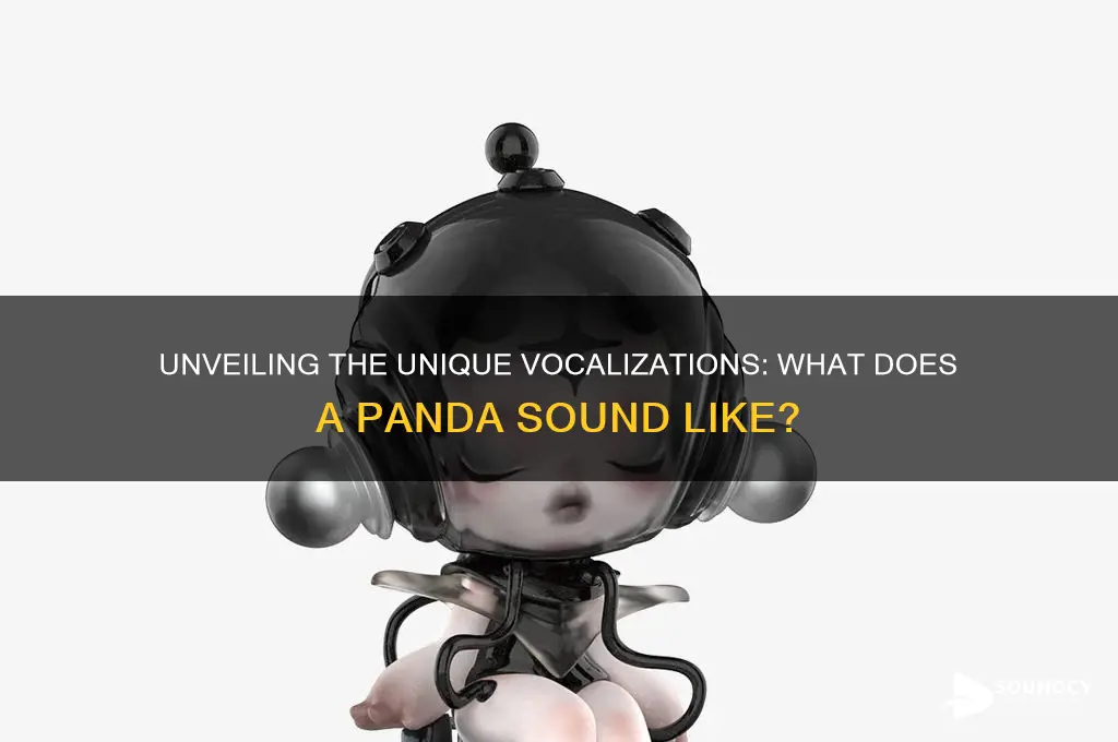 what a panda sound like