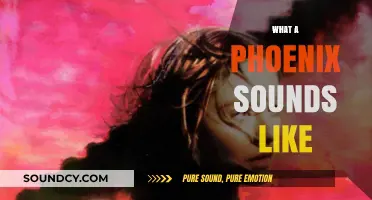 The Mystical Melody of a Phoenix: Unveiling Its Enigmatic Sounds