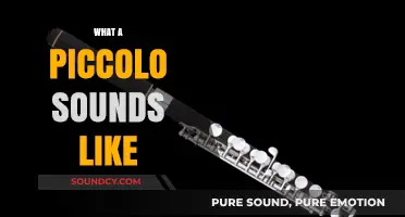 Discover the Unique, High-Pitched Sound of a Piccolo Instrument