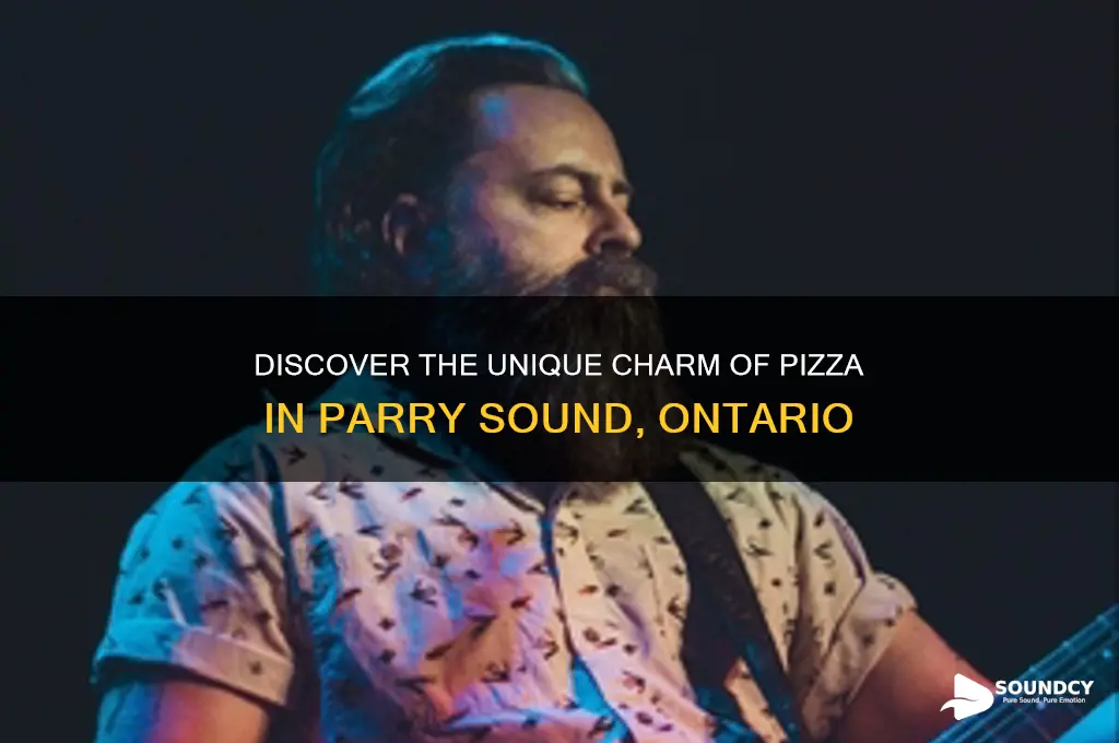 what a pizza parry sound