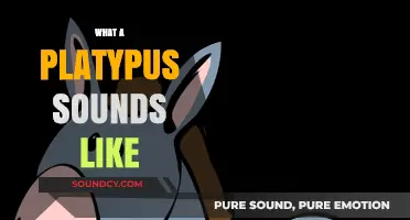 Unveiling the Unique Vocalizations: What Does a Platypus Sound Like?