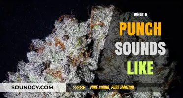 The Sonic Boom: Decoding the Crisp, Explosive Sound of a Punch