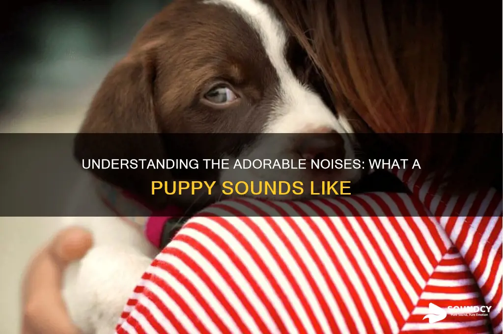 what a puppy sounds like
