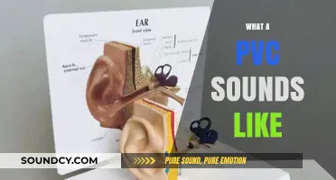 Unveiling the Unique Sounds of PVC: A Comprehensive Auditory Guide