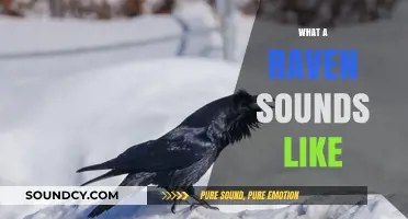 Unveiling the Haunting and Mystical Calls of Ravens in Nature