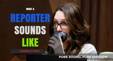 Unveiling the Voice of Journalism: What a Reporter Sounds Like