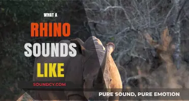 Unveiling the Majestic Rhino's Unique Vocalizations and Sounds