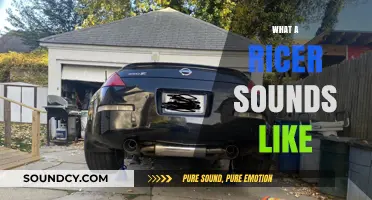 The Distinctive Roar: What a Ricer Sounds Like Explained