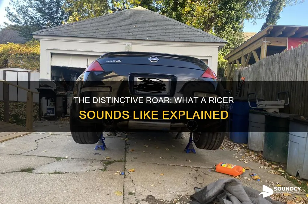 what a ricer sounds like