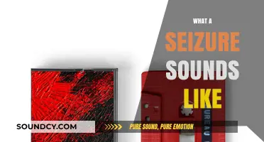 Unveiling the Audible Reality: What a Seizure Sounds Like