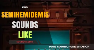 Unraveling the Lightning-Fast Beat: What a Semihemidemisemiquaver Sounds Like