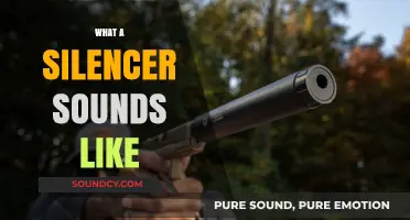 Unveiling the Truth: What a Silencer Actually Sounds Like