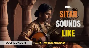 Exploring the Soulful, Melodic Resonance of a Sitar's Unique Sound