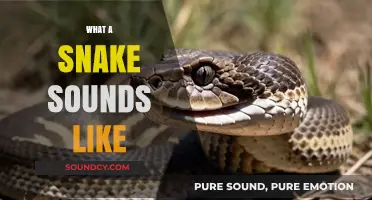 Unveiling the Surprising Sounds of Snakes: Hiss, Rattle, and More