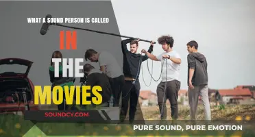 Behind the Scenes: The Unsung Heroes of Movie Sound