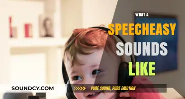 Unveiling the Unique Sounds of a Speecheasy: A Listening Guide
