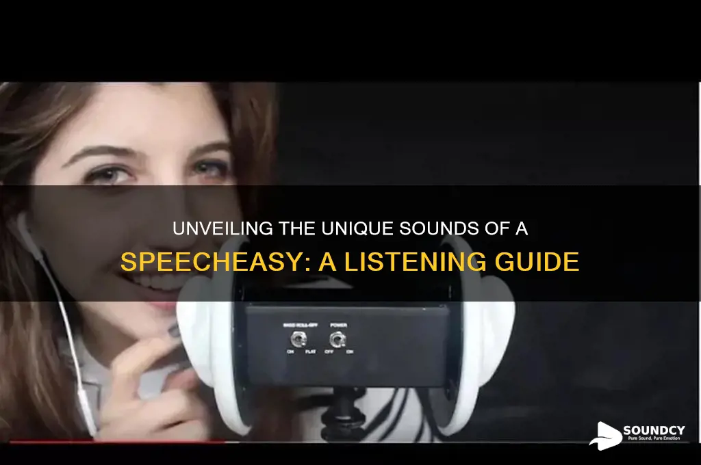 what a speecheasy sounds like