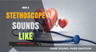 Exploring the Unique Sounds of a Stethoscope: What You Hear