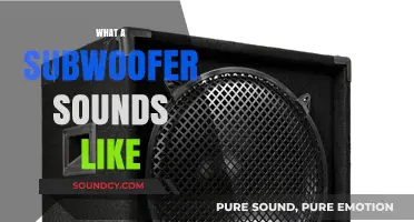 Exploring the Deep, Rich Bass: What a Subwoofer Sounds Like