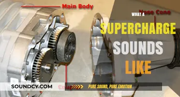 The Roaring Symphony: Unveiling the Unique Sound of a Supercharger