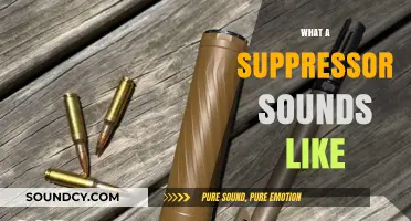 Unveiling the Truth: What a Suppressor Sounds Like in Reality