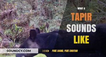 Unveiling the Unique Vocalizations: What Does a Tapir Sound Like?