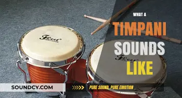 Exploring the Deep, Resonant Thunder of the Timpani's Unique Sound