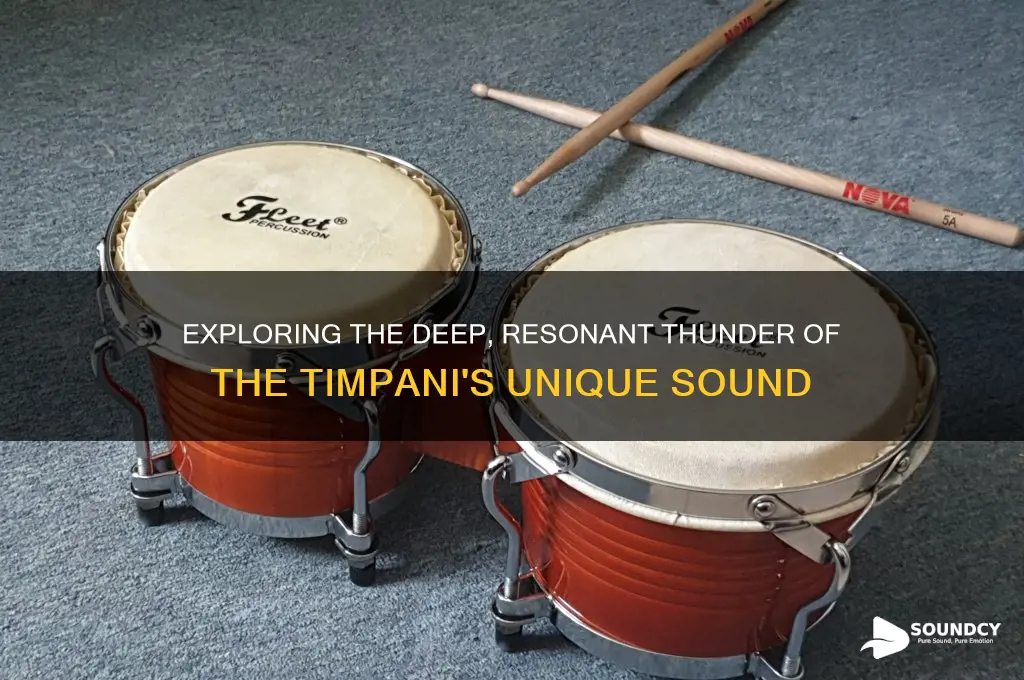 what a timpani sounds like