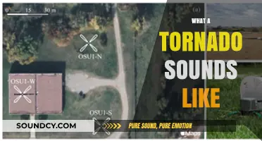 Unveiling the Terrifying Acoustic Signature of a Tornado's Fury