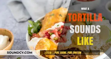 The Surprising Sounds of a Tortilla: A Culinary Acoustic Adventure