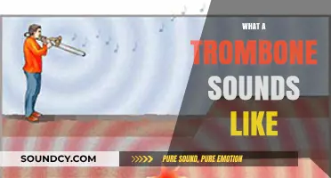 Exploring the Rich, Bold, and Versatile Sound of the Trombone