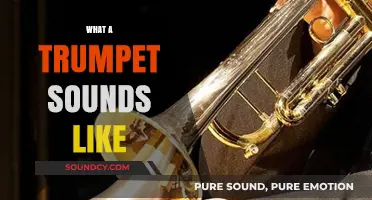 Exploring the Vibrant, Bold, and Expressive Sound of a Trumpet