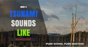 The Haunting Sounds of a Tsunami: What Survivors Hear