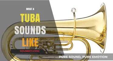 Exploring the Deep, Rich, and Majestic Sound of the Tuba