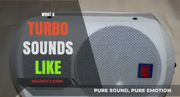 The Distinctive Whine and Roar: What a Turbocharger Sounds Like
