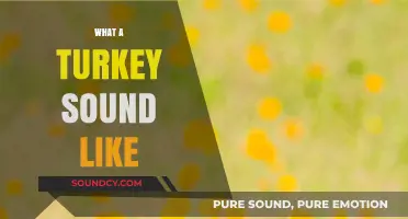 Discover the Unique Gobbles and Calls of a Turkey's Vocalizations