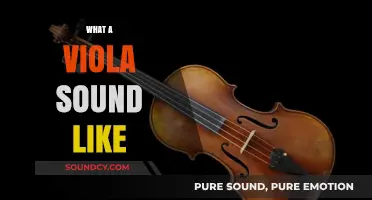 Discover the Rich, Warm, and Unique Sound of the Viola
