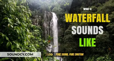 The Soothing Symphony of Waterfalls: A Sonic Journey Through Nature