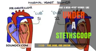 Echoes of Vulnerability: What a Weak Heart Sounds Like Under a Stethoscope