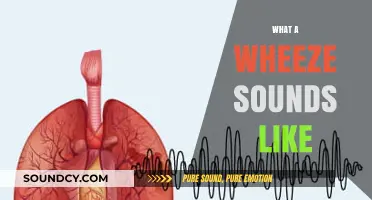 Understanding Wheezing: What a Wheeze Sounds Like and Why It Matters
