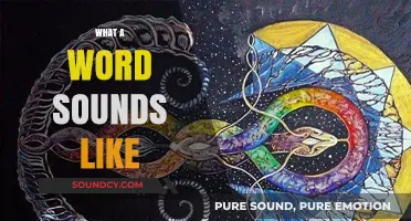 The Sonic Essence: Exploring How Words Resonate and Sound to Us