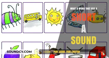 Exploring Phonetics: Words with Short 'A' Sounds in Language