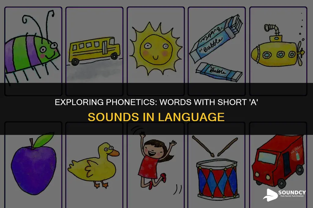 what a word that has a short a sound