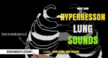 Understanding Hyperresonant Lung Sounds: Causes, Symptoms, and Diagnosis Explained